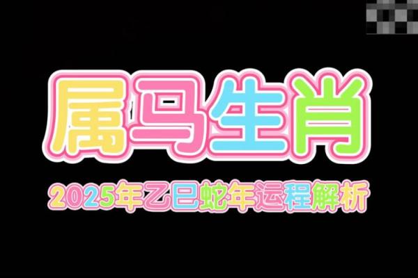 2002年2月6日属马还是蛇