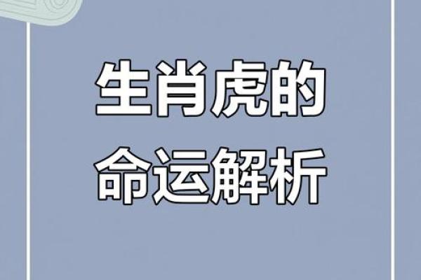 1986年属虎的人在2013年龙年运势详解完整版 1986年属虎的人在2013年龙年运势详解完整版