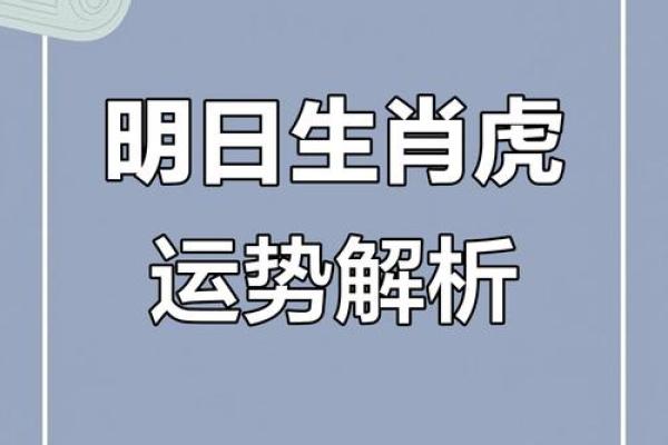 属虎的人2018年全年运势详解，财运健康事业感情完整分析