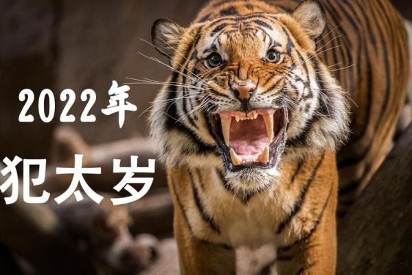 2022年犯太岁的生肖具体得把眼睛擦亮了，事业财运健康方面该如何防范？