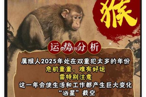 2022年属猴人全年每月运势运程完整版：如何化解太岁冲煞提升运势