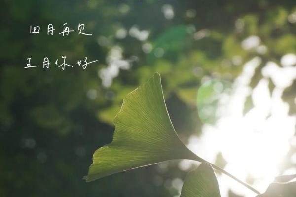 2025年10月适合安葬的好日子有哪些？需要注意哪些风水禁忌？