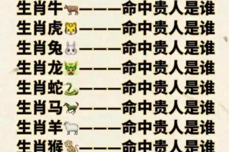 2013年蛇年本命年运势如何？需要注意哪些方面？