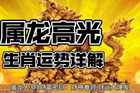 属龙的人2019年全年运势详解，财运事业健康如何？