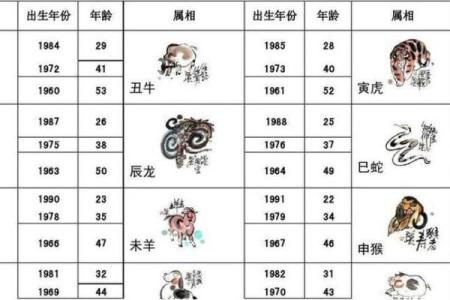 属猪的年龄对照表最新完整版，不同年份出生今年几岁？