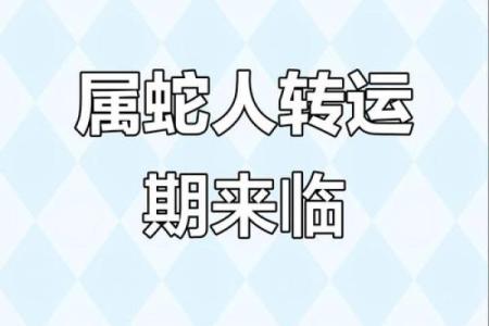 2025年属蛇运程