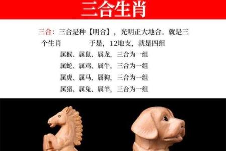 请问2019年农历新年之后出生的孩子属猪还是属狗，属相如何准确界定？