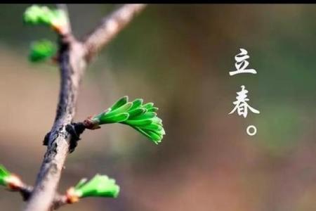 2024年立春哪些生肖需要特别注意躲春的具体方法与时间？