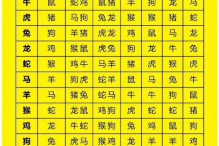 属虎男性最佳婚配属相是哪些需要注意生肖相克