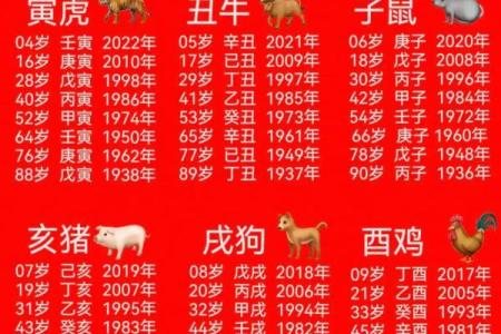 2007年出生属猪的人在2023年周岁和虚岁分别是多少岁？
