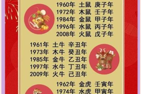 2022年出生的人属什么生肖，五行属性是哪一种