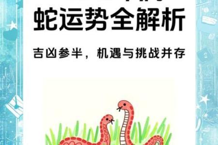 2013蛇年本命年运势解析及属蛇人全年运程得把眼睛擦亮了
