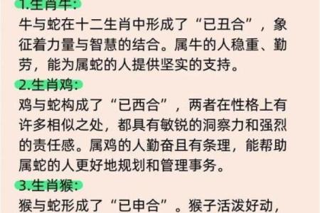2013年蛇年各生肖运势详解及流年运程完整解析