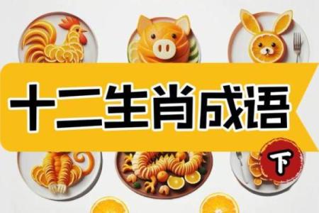 从生肖角度分析，一家四口哪些属相组合需要特别注意避免