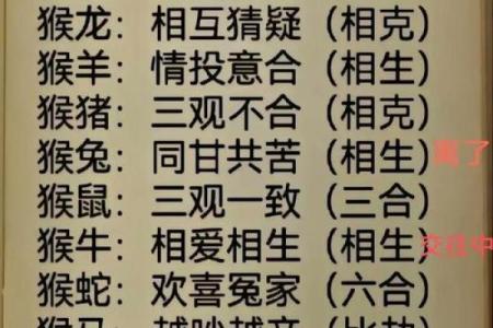 属猴的生肖和哪个属相结婚最幸福长久呢
