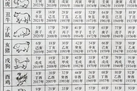 1997年出生的人现在多大了，属什么生肖？
