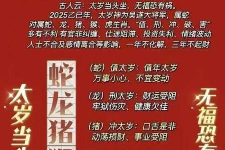 属鼠的人2013年运程详解及如何化解太岁带来的不利影响