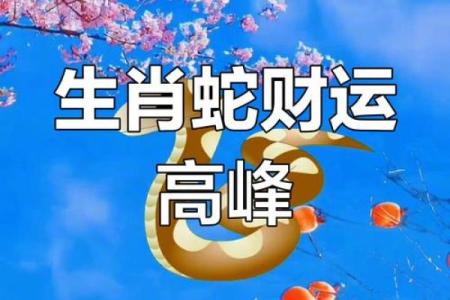属蛇今天明天偏财运