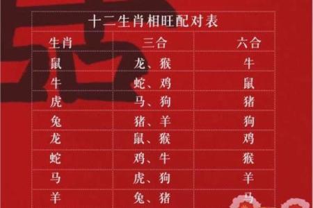 2023年属什么生肖属相，和哪些生肖最相配