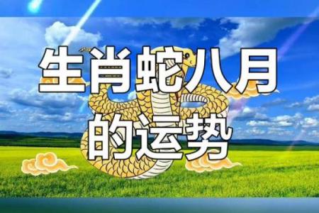 2013年属蛇的人财运和事业运详解，有哪些月份需要特别注意？