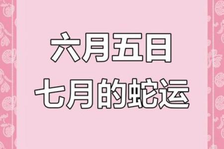 2013年属蛇人今年运势如何？财运和健康需要注意什么