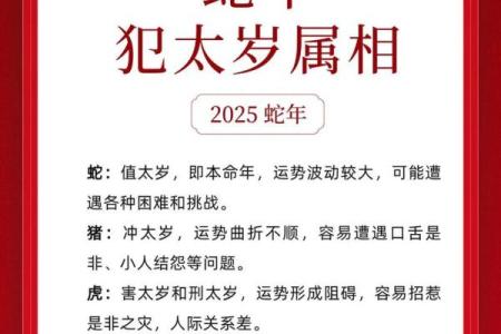 2012年哪些生肖犯太岁需要特别注意化解方法？