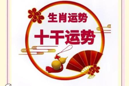 1984年出生属鼠人2021年事业财运健康运程全解析