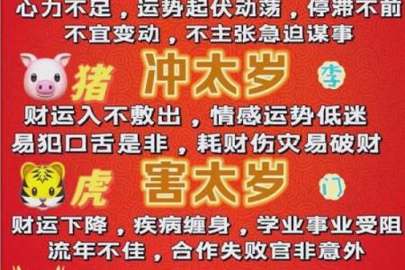 蛇年属猪人的运势如何2025