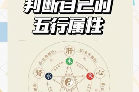 如何根据生辰八字五行命相属性来选择合适的职业发展方向？