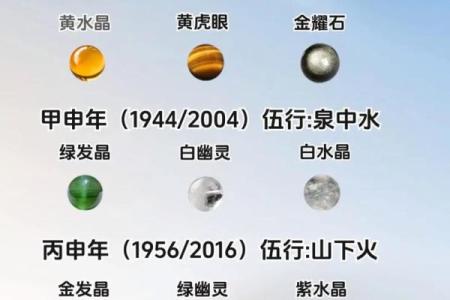 麦玲玲2016年属猴人士的全年运势详解与得把眼睛擦亮了