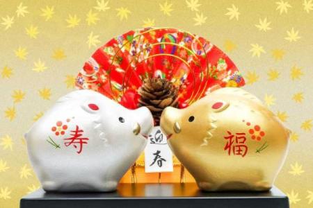 2007年出生的生肖属猪者到2023年时具体年龄计算及运势解析