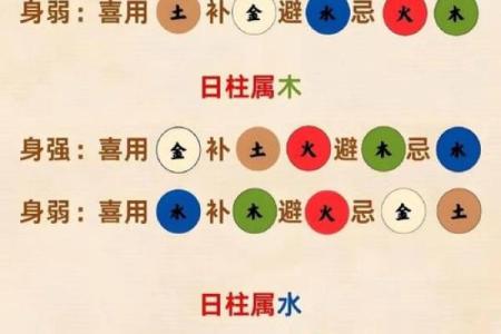 如何根据生辰八字测算五行属性并了解自身运势走向