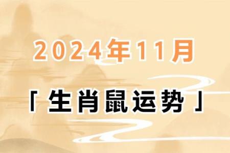 属鼠的人2013年运势如何？财运和健康需要注意什么