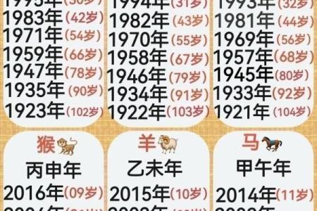2024最新十二生肖年龄对照表，快速查看你的生肖和岁数