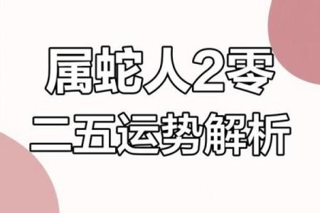 属蛇的在2025年的运势及运程