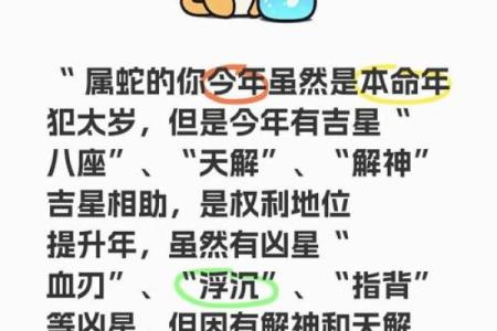 2013年蛇年本命年运势如何？属蛇人需要注意哪些方面的事项？