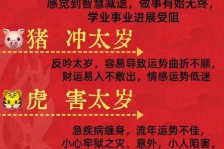 属猪的人2013年冲太岁如何化解以及有什么转运方法？