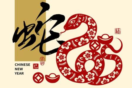2013年十二生肖财运大解析：哪个属相在蛇年最容易发财致富？