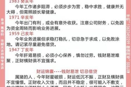 2013年属猪人的全年运势详解，每月运程及得把眼睛擦亮了分析