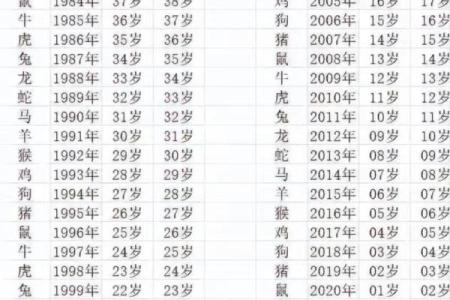01年属蛇25年运势
