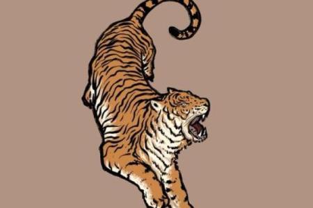 2022年属蛇的人真的要很小心吗？虎年需要注意的健康财运大事