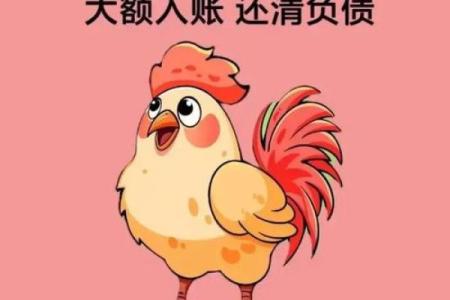 属鸡的人选择什么行业能够快速致富并且稳定发展