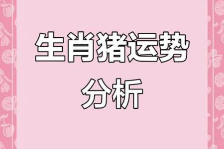 属猪的和什么属相结婚会相克？详细解析属猪的生肖相冲关系