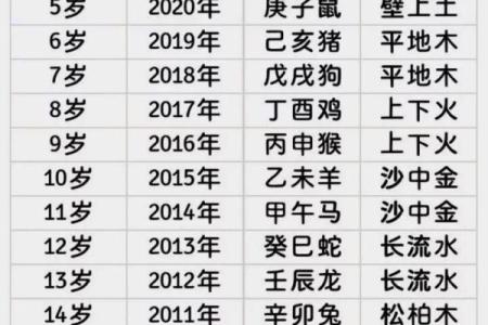 2022年农历新年是什么生肖年，春节后出生的宝宝属什么？