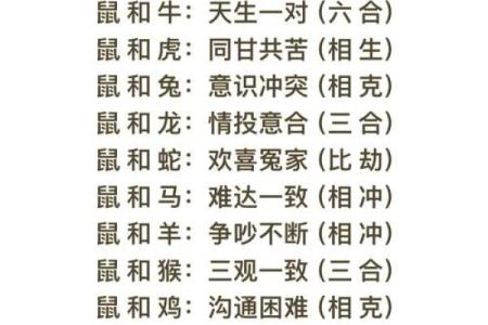 2019年属龙人的感情婚姻运势详解，需要注意什么？