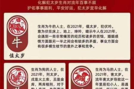 属虎的人今年具体多大年龄了，2024年怎么计算虚岁和周岁？