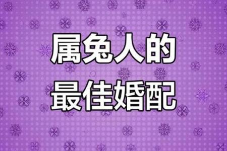 从生肖配对角度分析，属兔女和什么属相的男性结合最为和谐长久？