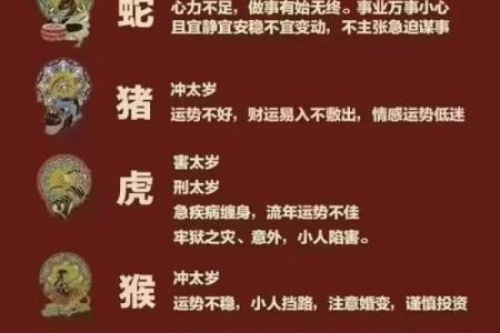 2024年龙年犯太岁的属相名单及化解方法大全