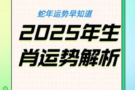 2013年农历蛇年出生的人今年运势如何查询？