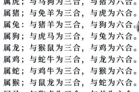 家里不能同时出现的三个属相有哪些，如何化解家庭生肖冲突与不和？